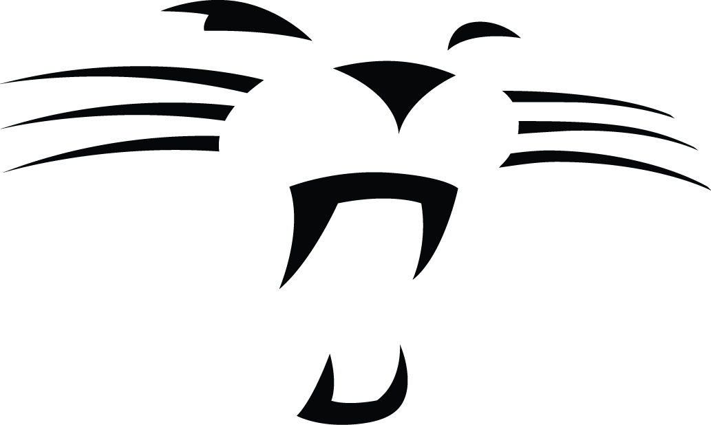Carolina Panthers 2012-Pres Alternate Logo t shirts DIY iron ons v2